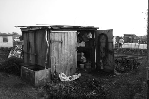 The Allotment shed josiemogerphotography